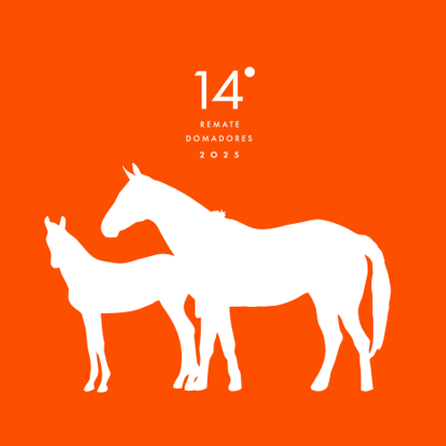 Catálogo del remate 2025